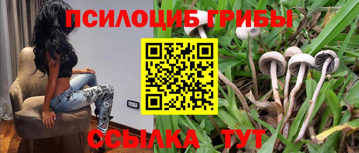 Псилоцибиновые грибы Cubensis Лангепас